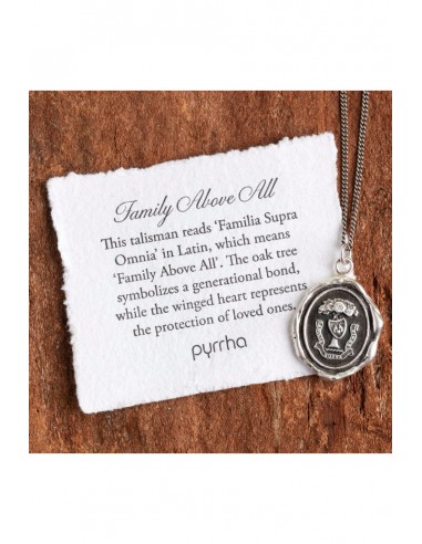 Pyrrha "Family Above All" Talisman 18" Medium Cable Chain Toutes les collections ici