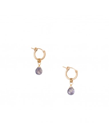 Hailey Gerrits Classic Drake Earrings (Iolite) Dans la société mordern