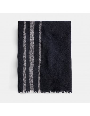 Sarti Cashmere Striped Scarf - Navy/Grey la colonne vertébrale