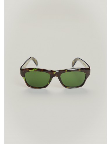 Cain glasses in green tortoiseshell, dark lens la livraison gratuite