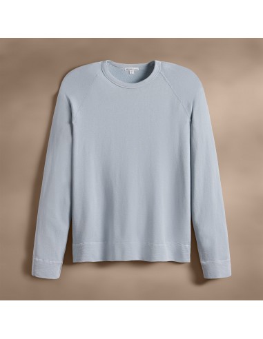 Vintage French Terry Sweatshirt - Grey Glacier Pigment des créatures d'habitude